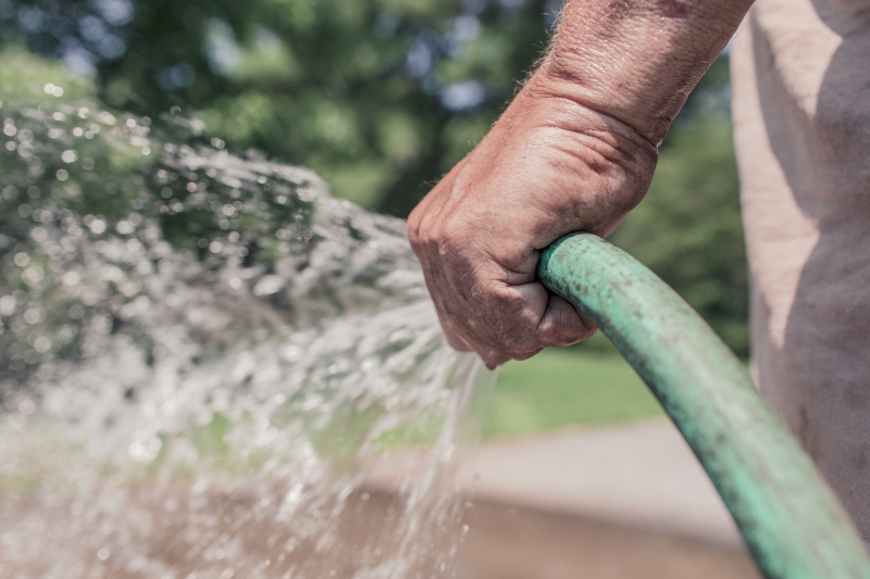 jardinerie-CHATEAUDOUBLE-min_garden-hose-413684